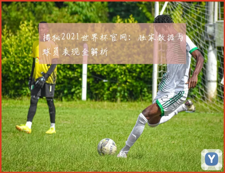 揭秘2021世界杯官网：独家数据与球员表现全解析