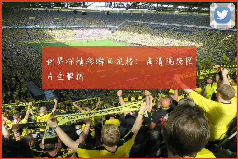 世界杯精彩瞬间定格：高清现场图片全解析