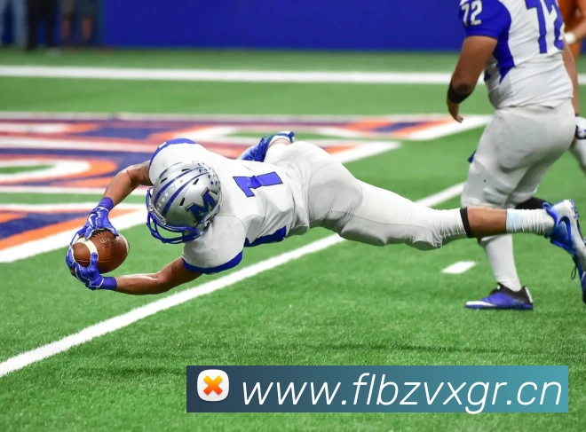 星空体育综合app下载官网APP 封面图